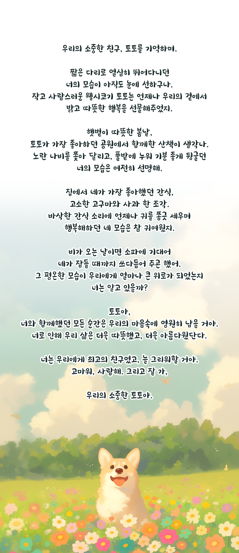 편지 이미지